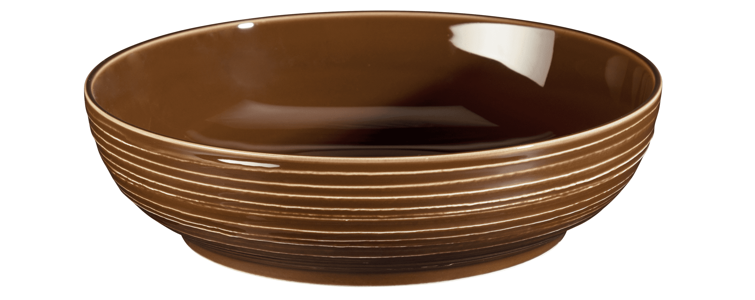 Seltmann Porzellan Terra Erdbraun Foodbowl 25 cm