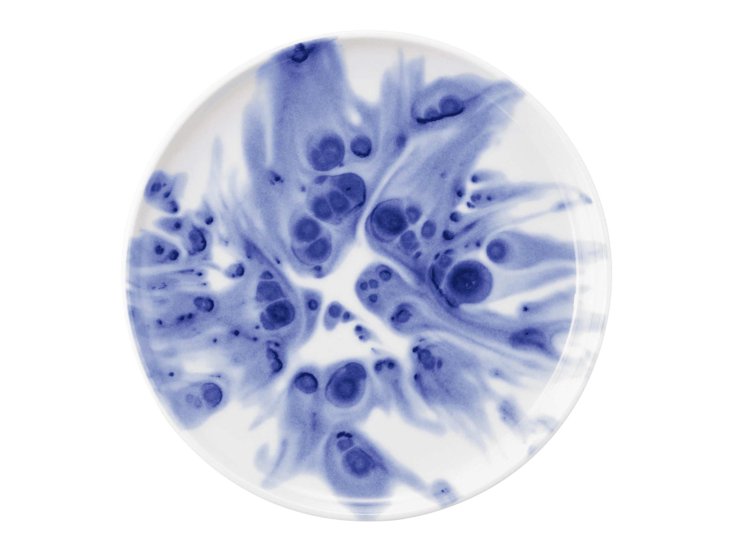 Seltmann Porzellan Sento Ocean Teller flach 16 cm