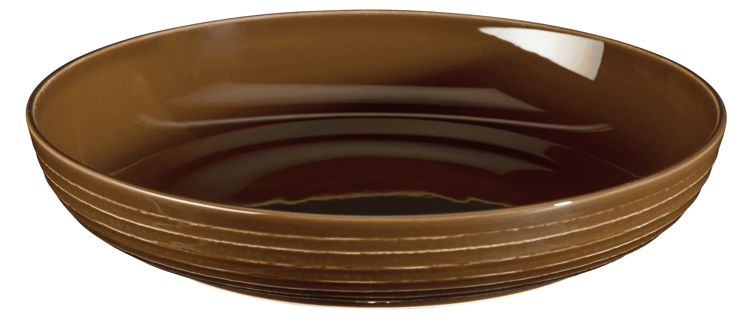 Seltmann Porzellan Terra Erdbraun Foodbowl 28 cm