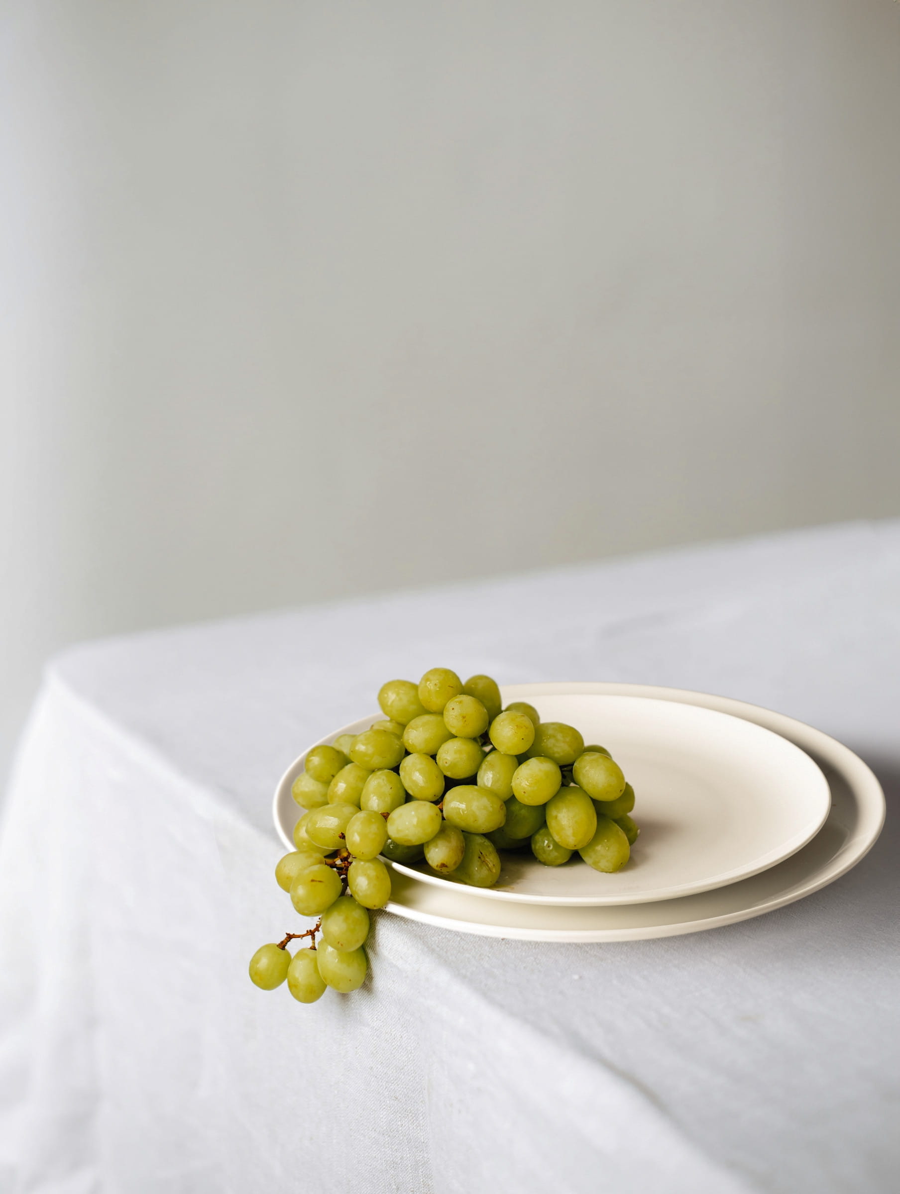 Seltmann Porzellan Savona Uni Kanne 1,35 l