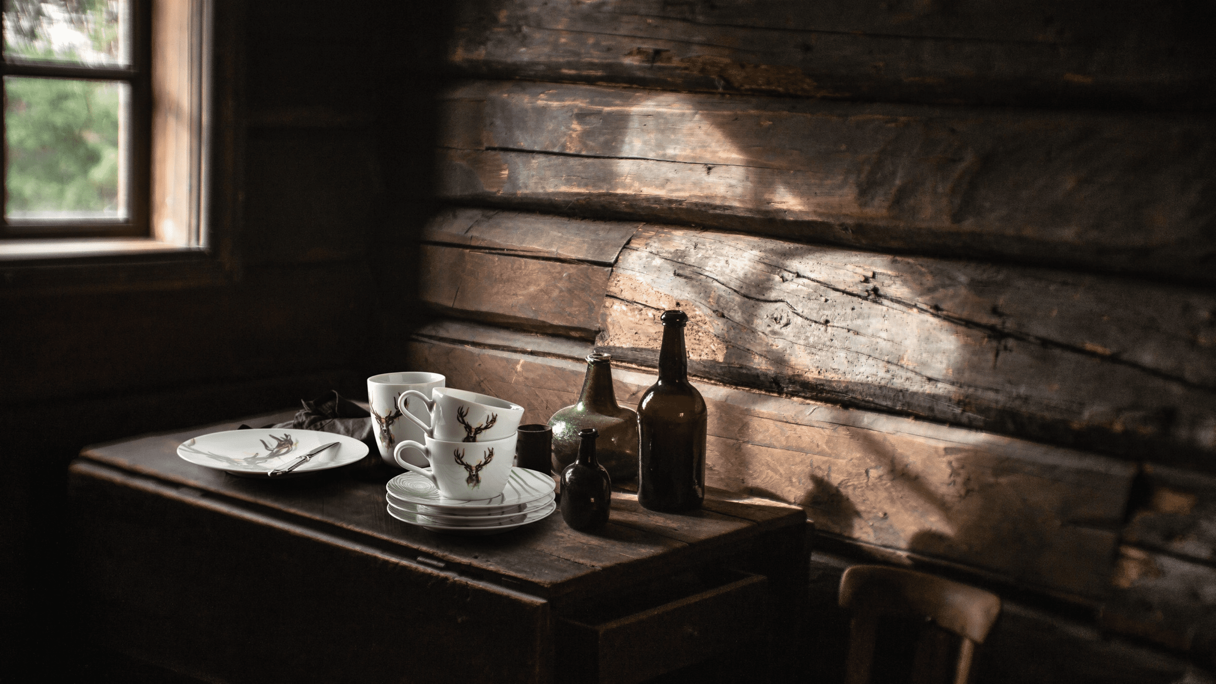 Seltmann Porzellan Life Nature Baumstruktur grün Frühstücksteller 22,5 cm