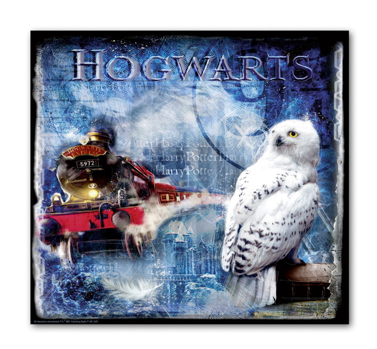 Gilde Harry Potter Bild, "Hogwarts Express & Hedwig" Leinwand, 70x70 cm