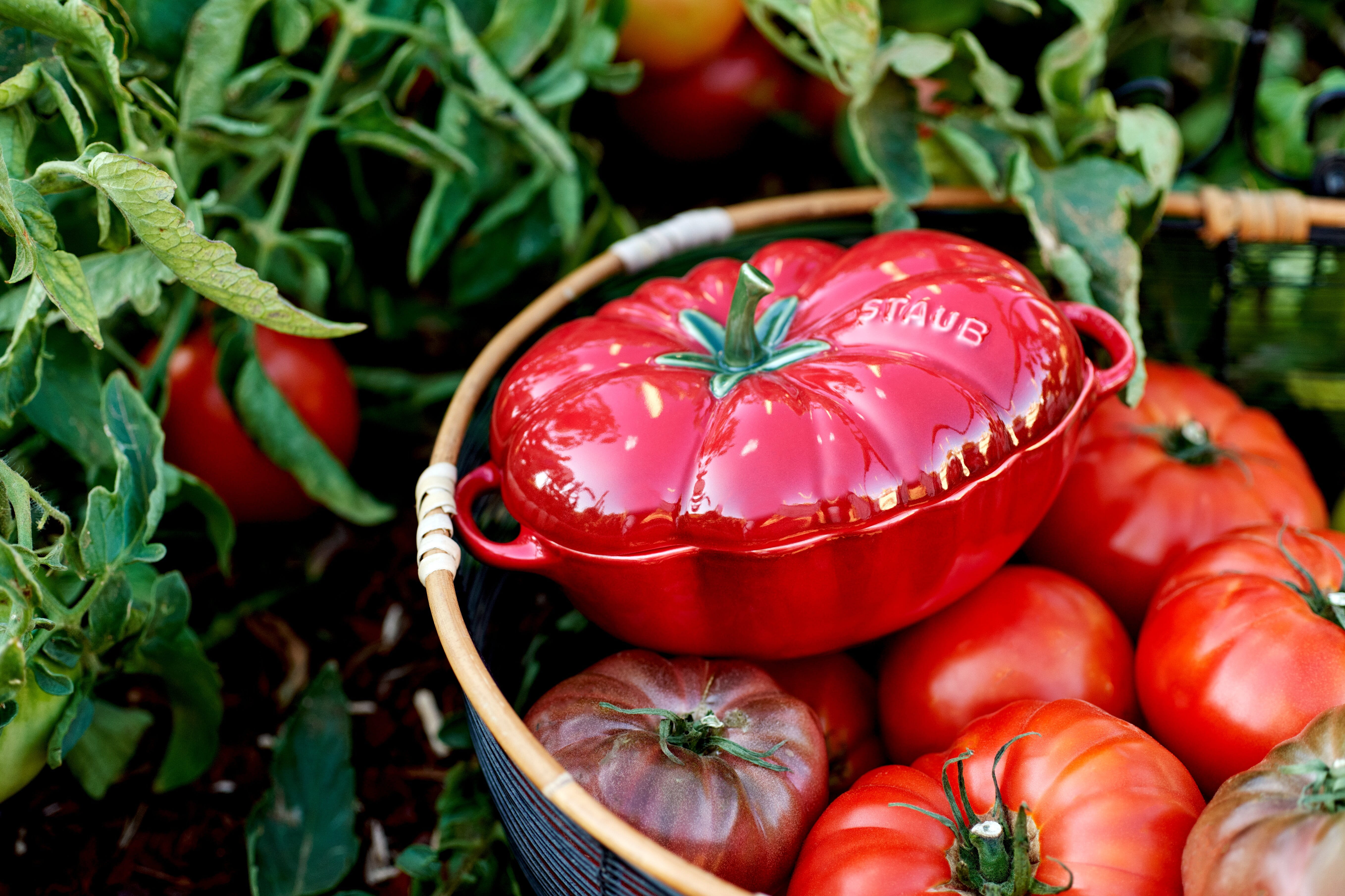 Staub France Keramik Tomaten Cocotte