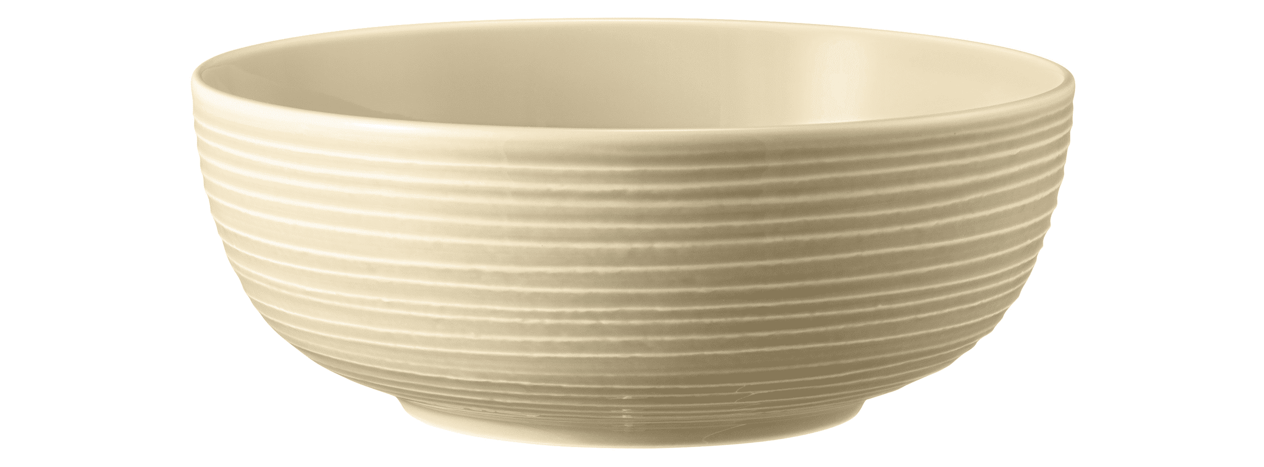 Seltmann Porzellan Terra Sandbeige Foodbowl 20 cm