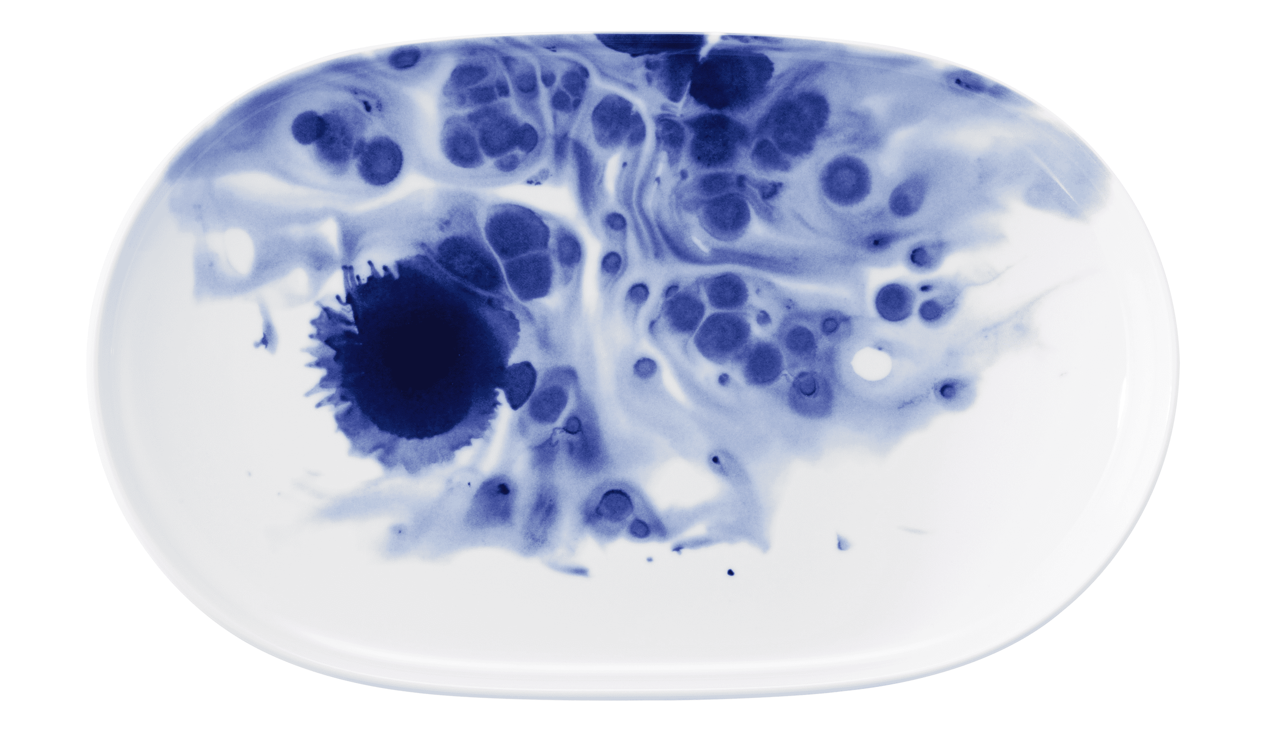 Seltmann Porzellan Sento Ocean Teller/Platte oval 33x20 cm