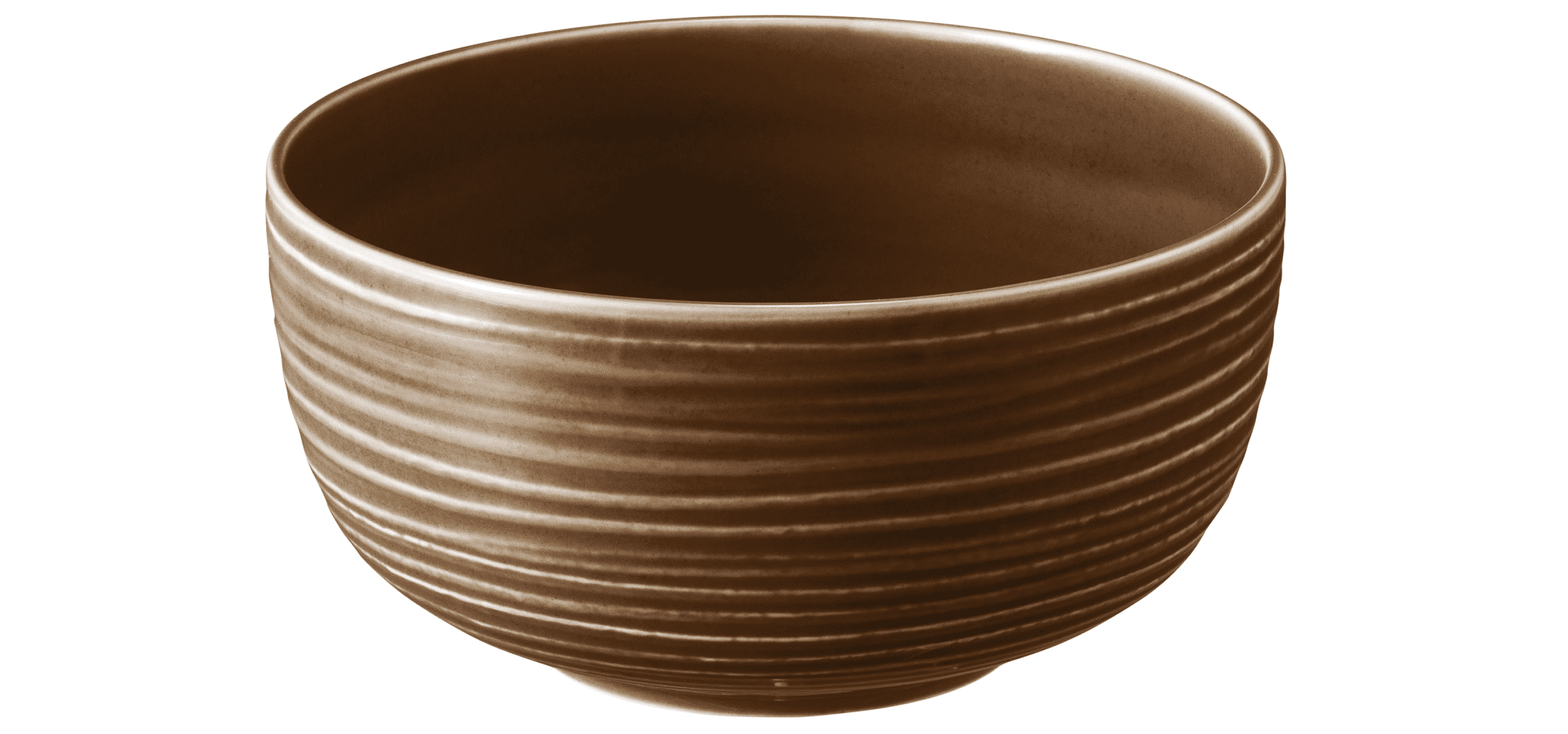 Seltmann Porzellan Terra Erdbraun Foodbowl 17,5 cm