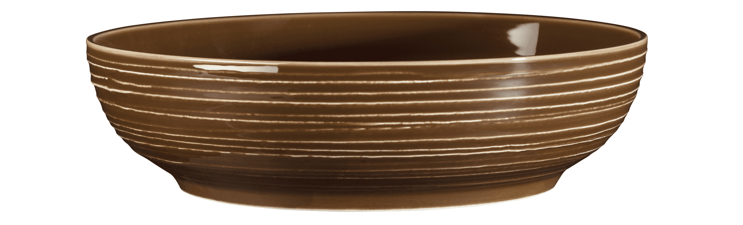 Seltmann Porzellan Terra Erdbraun Foodbowl 25 cm