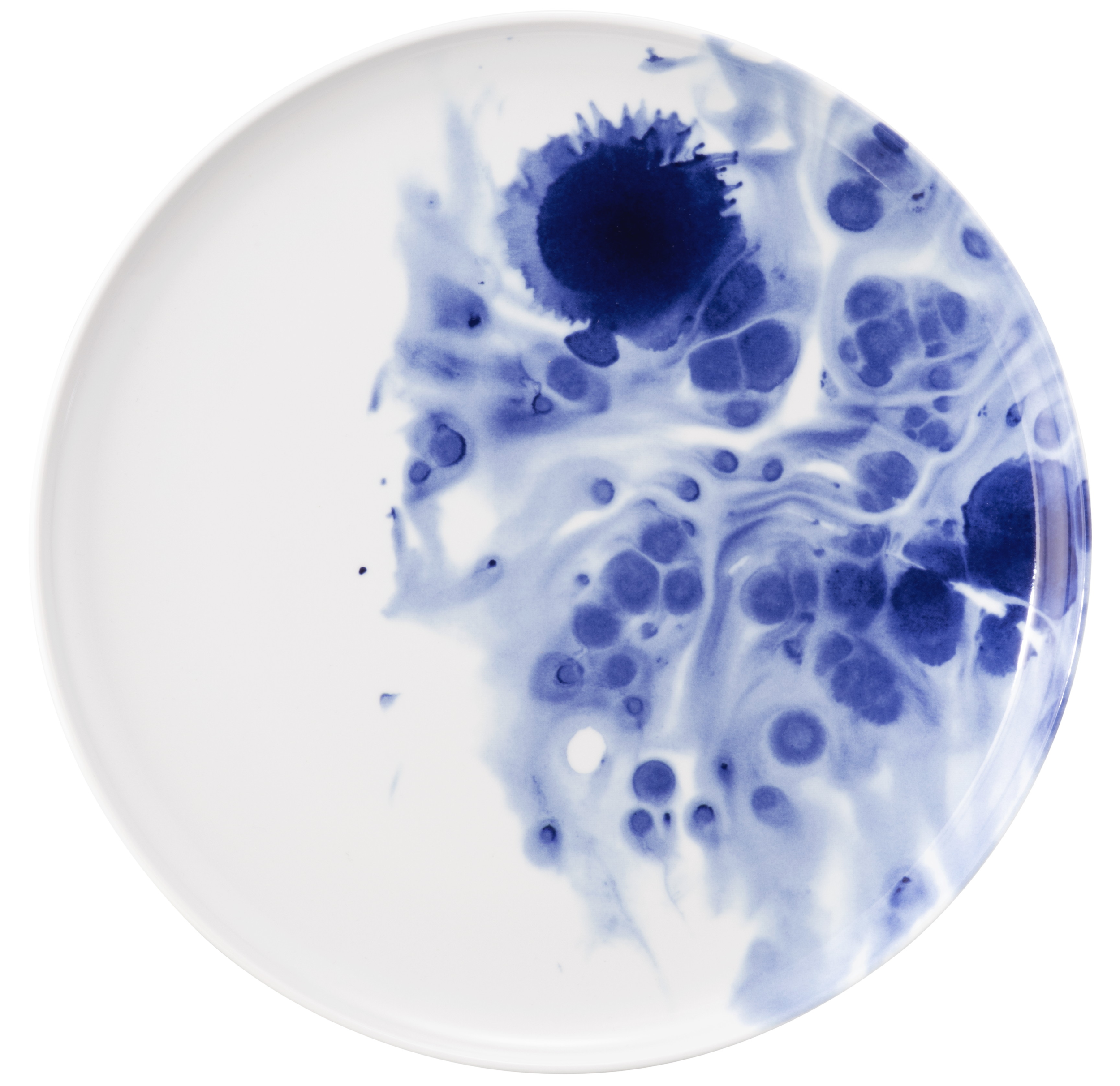 Seltmann Porzellan Sento Ocean Teller flach 30 cm