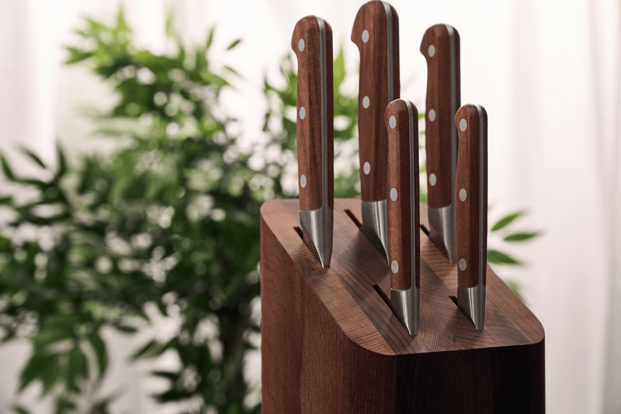 ZWILLING Pro Wood Brotmesser 20 cm Kotibeholz