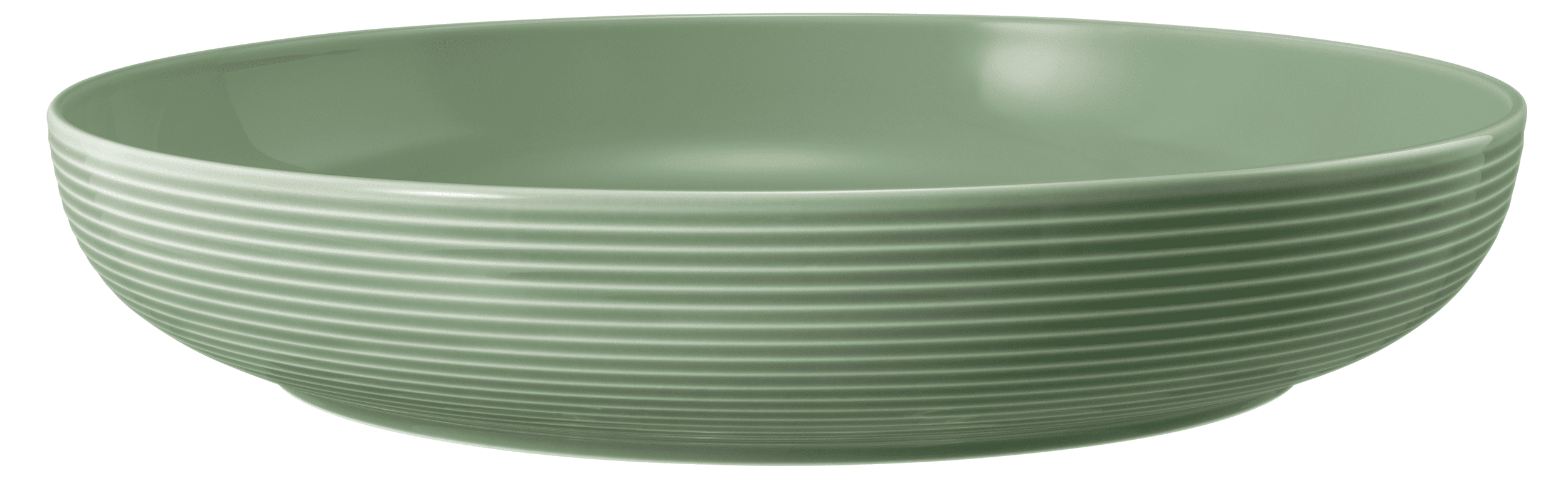 Seltmann Porzellan Beat Salbeigrün Foodbowl 28 cm