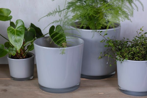 Mars & More Glas Blumentopf Conner Regular Maus grau  Ø 14,5 cm