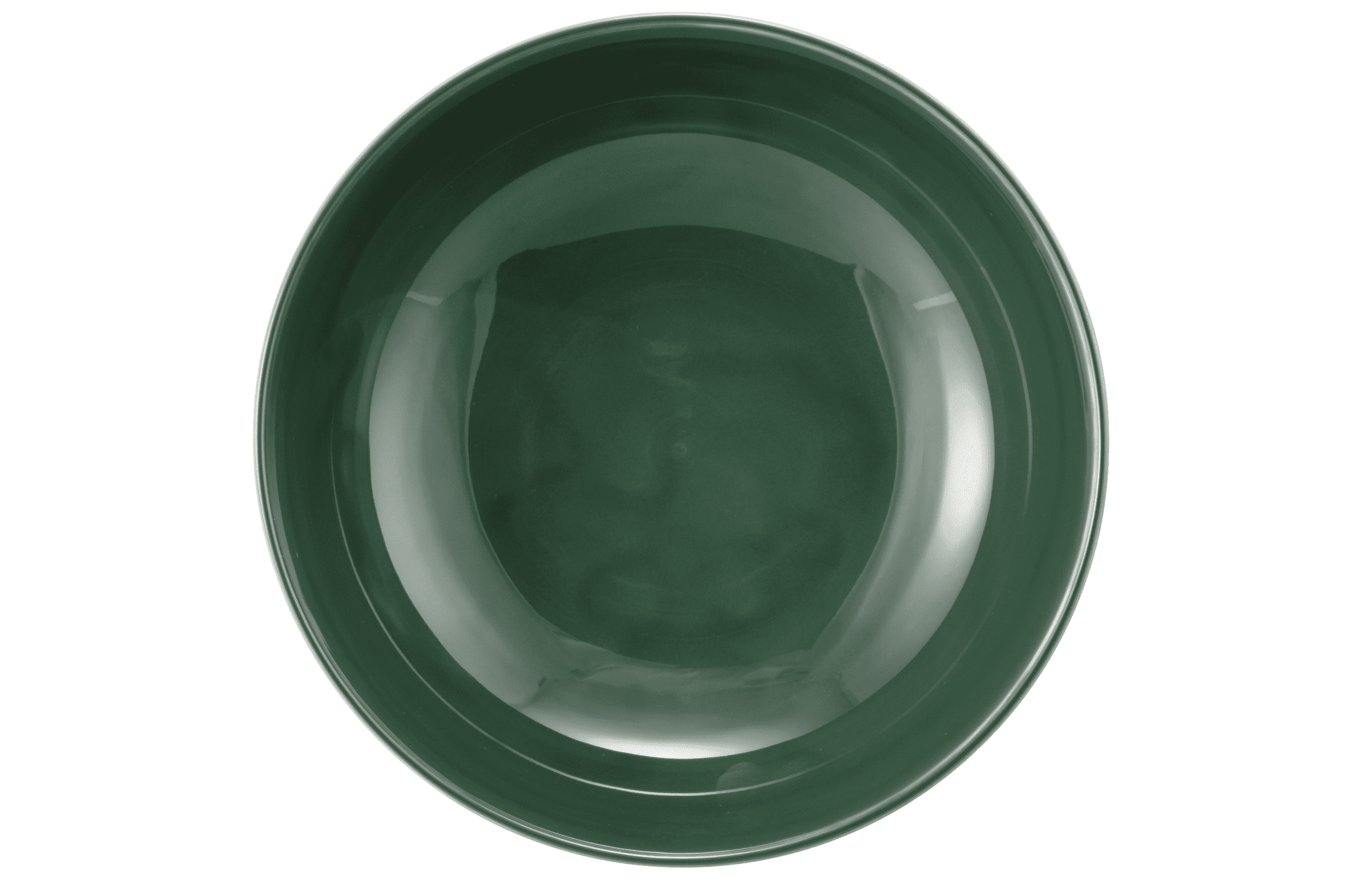 Seltmann Porzellan Terra Moosgrün Foodbowl 17,5 cm