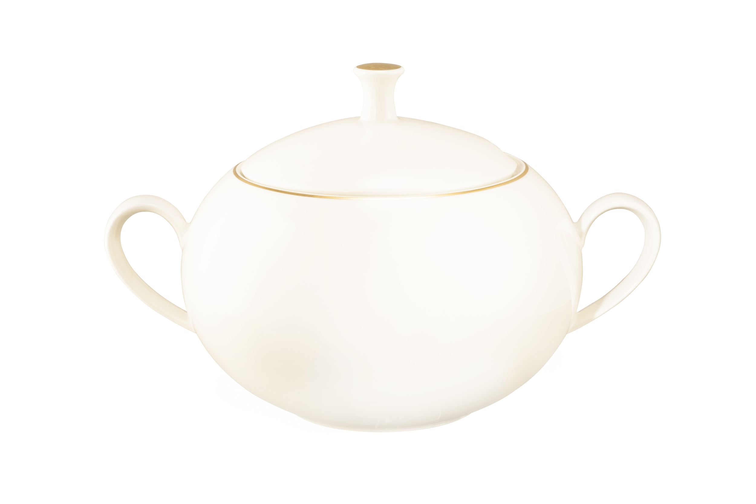 Seltmann Porzellan Savona Oro Terrine