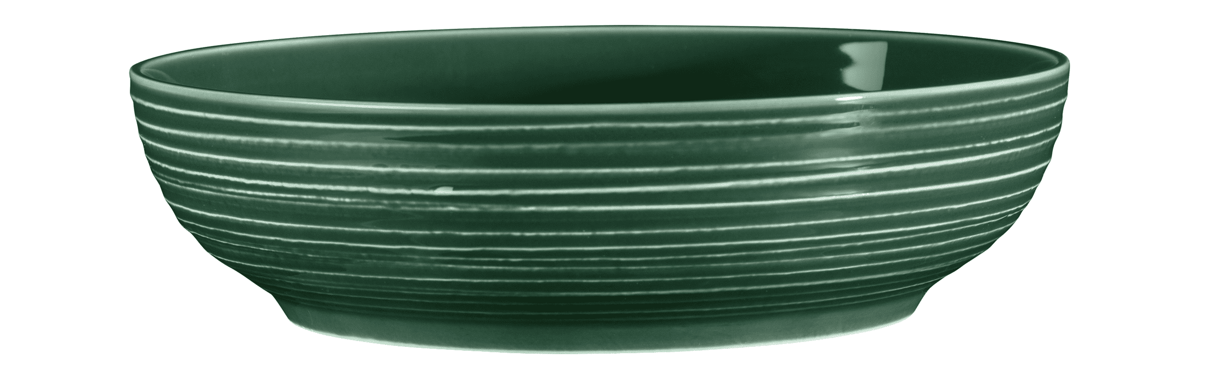 Seltmann Porzellan Terra Moosgrün Foodbowl 25 cm
