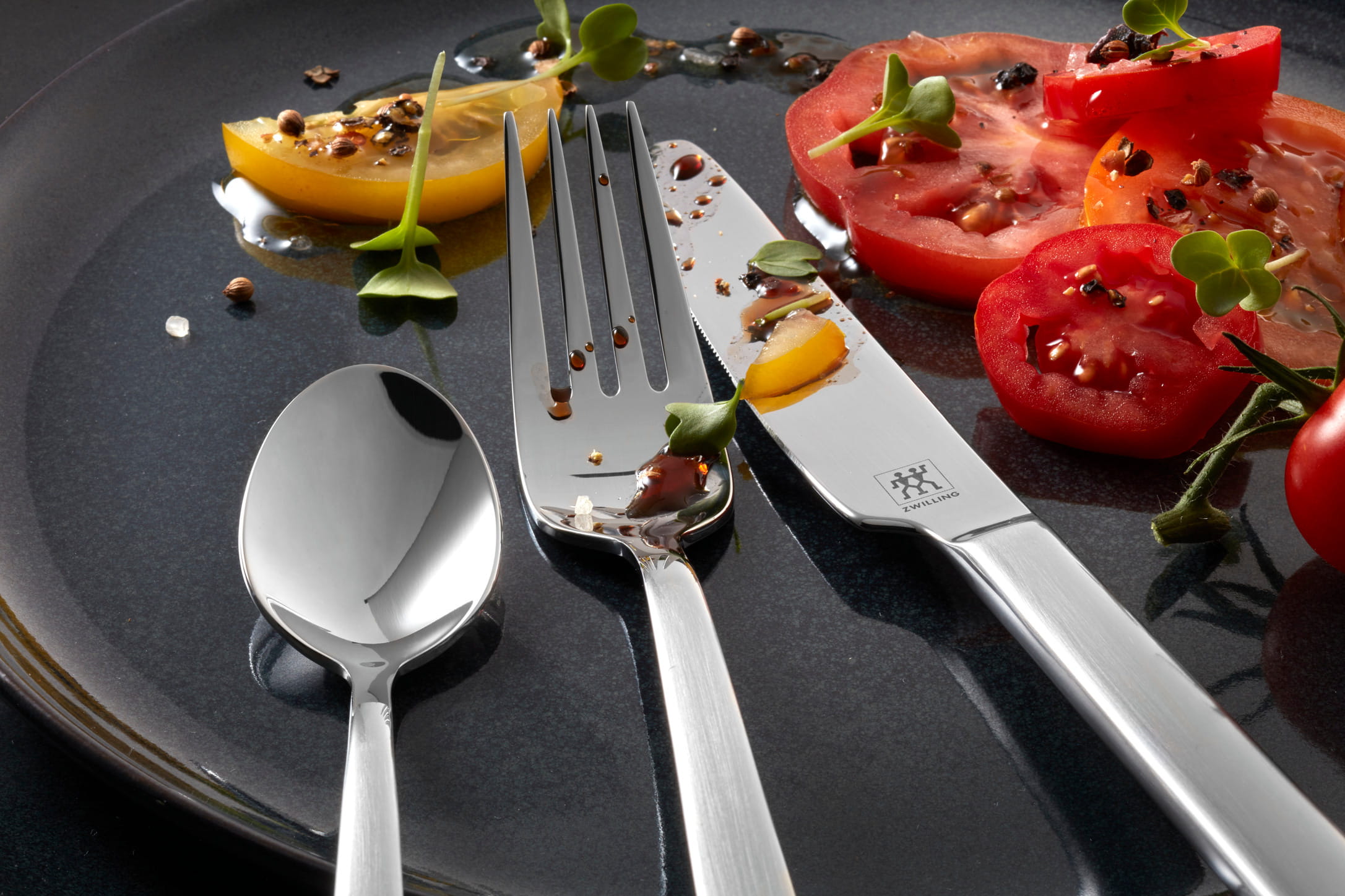 Zwilling Besteck Edelstahl