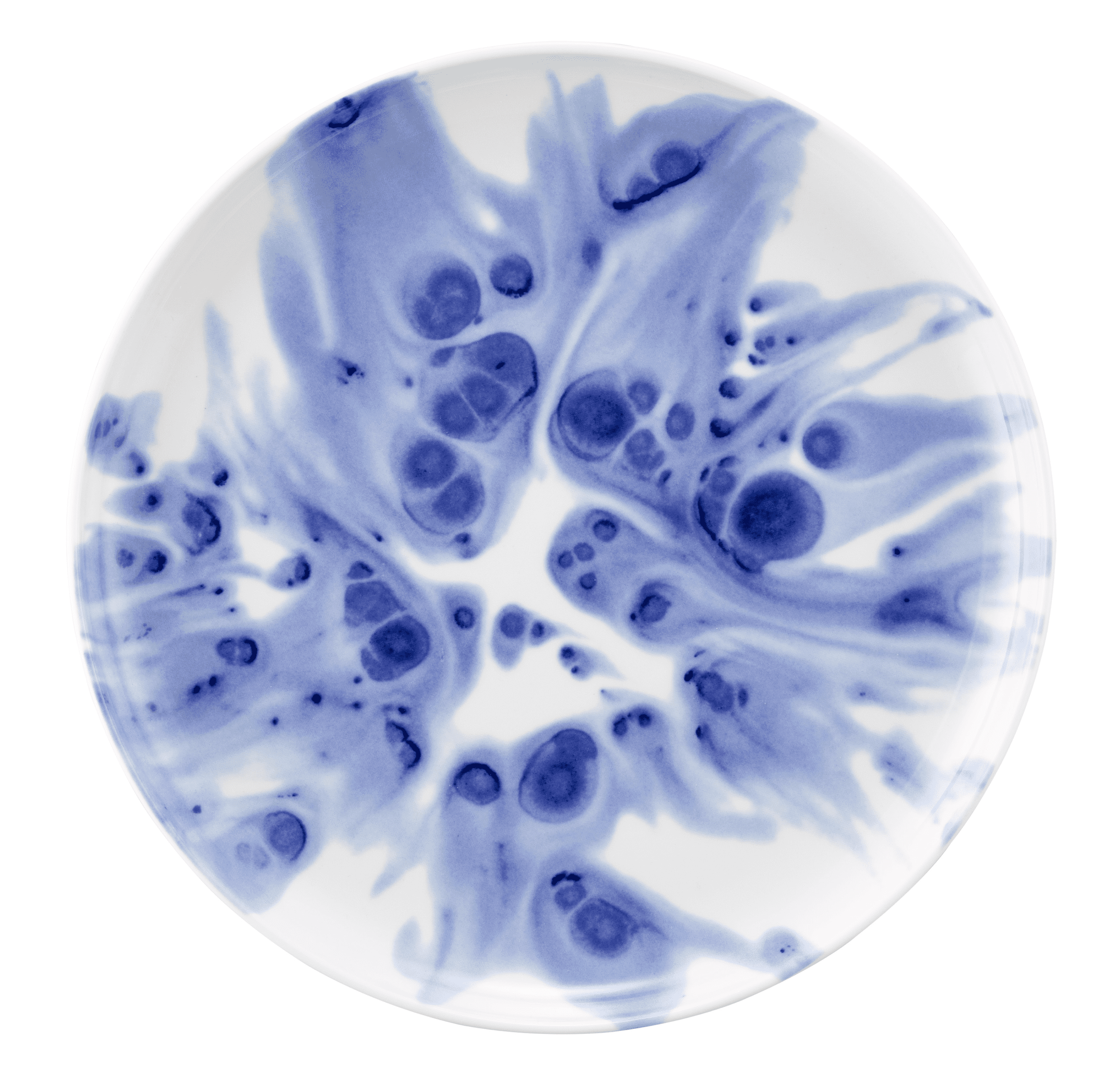 Seltmann Porzellan Sento Ocean Teller tief 27 cm