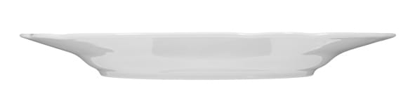 Seltmann Porzellan Salzburg Uni Teller flach 27 cm Fahne