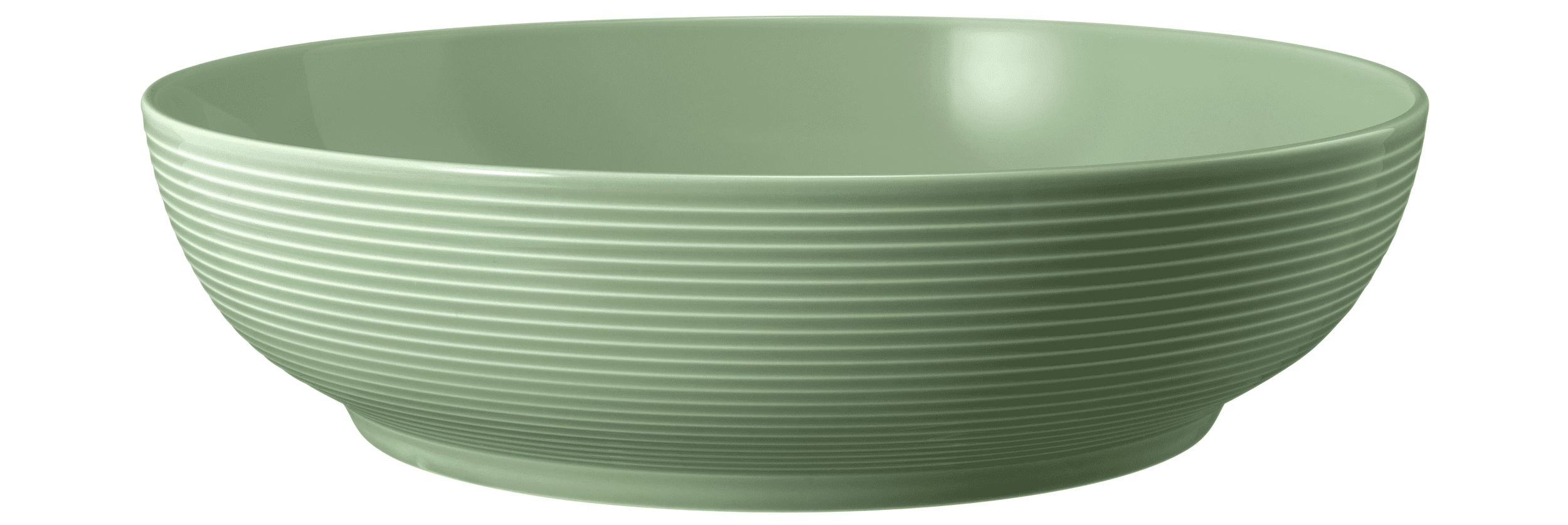 Seltmann Porzellan Beat Salbeigrün Foodbowl 25 cm