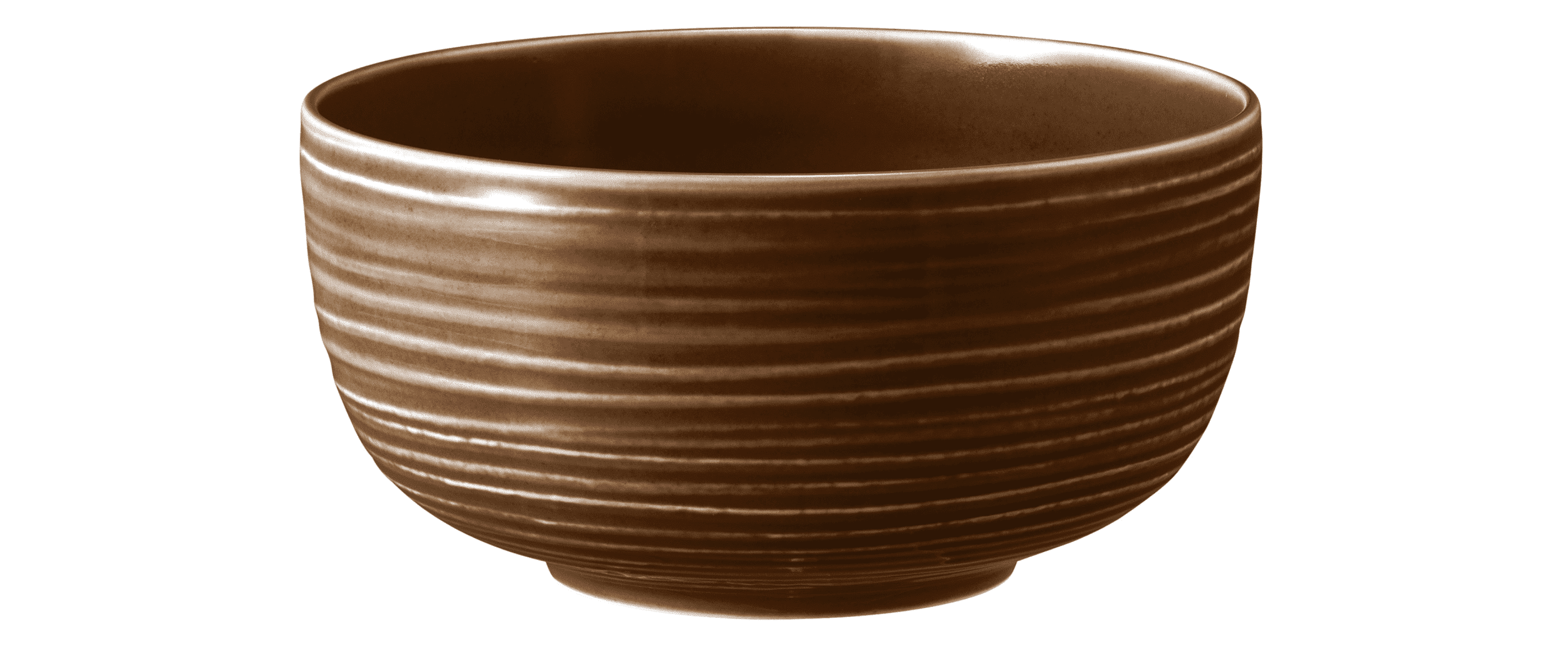 Seltmann Porzellan Terra Erdbraun Foodbowl 17,5 cm