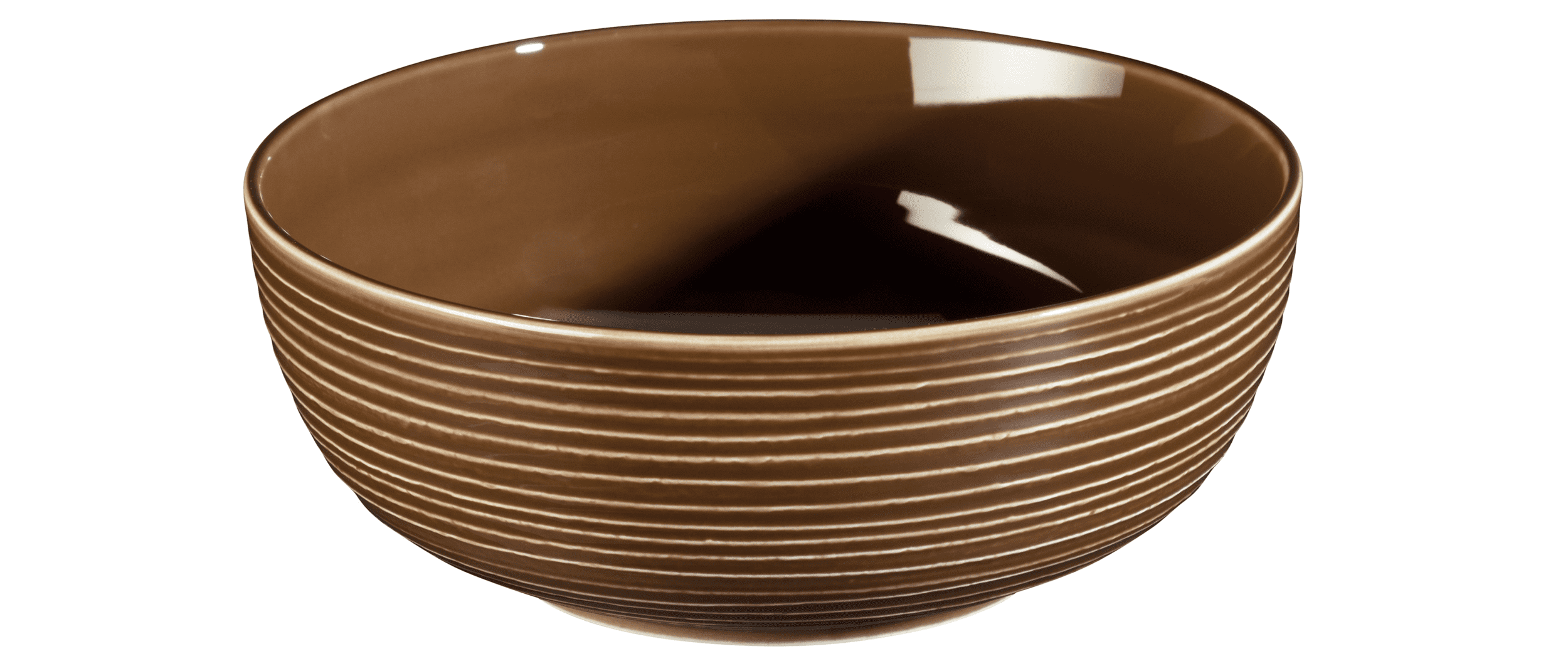 Seltmann Porzellan Terra Erdbraun Foodbowl 20 cm