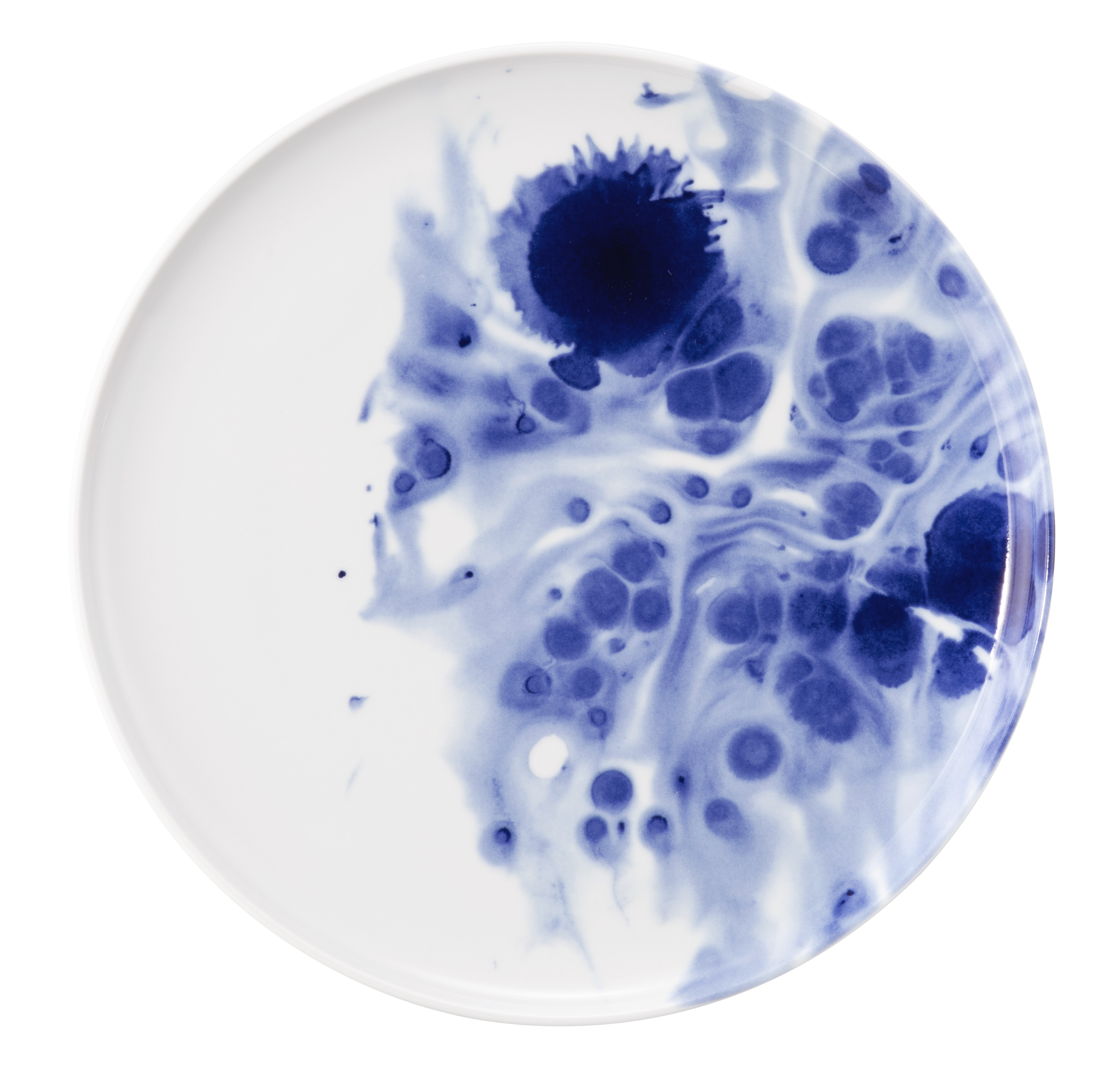 Seltmann Porzellan Sento Ocean Teller flach 27,5 cm