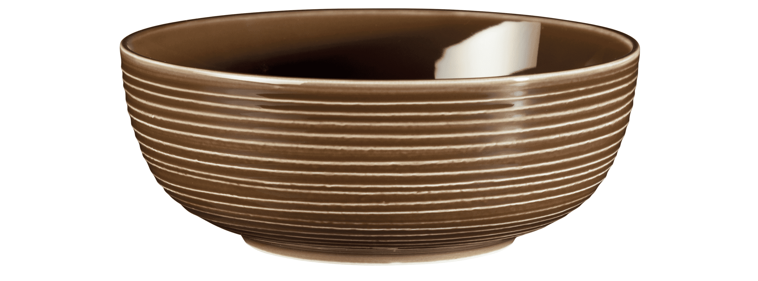 Seltmann Porzellan Terra Erdbraun Foodbowl 20 cm