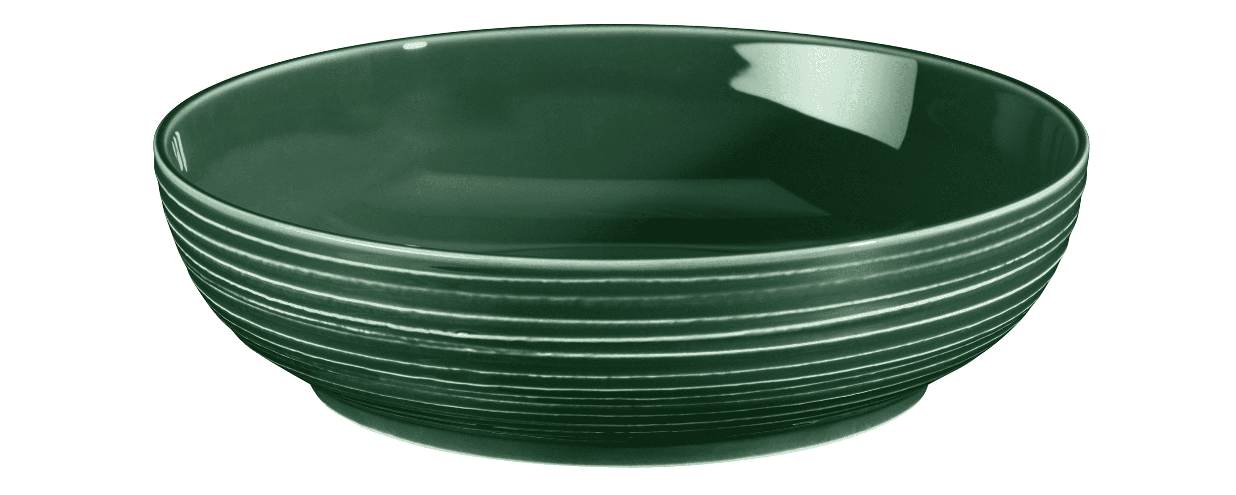 Seltmann Porzellan Terra Moosgrün Foodbowl 25 cm