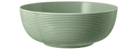 Seltmann Porzellan Beat Salbeigrün Foodbowl 20 cm