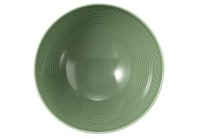 Seltmann Porzellan Beat Salbeigrün Schüssel rund 15,5 cm