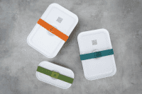 Zwilling Fresh & Save Lunchbox L - Kunststoff Semitransparent-La Mer