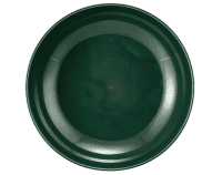 Seltmann Porzellan Terra Moosgrün Foodbowl 25 cm