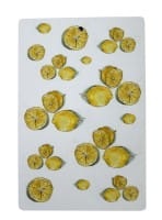 Citronelles Schneidebrett Lemon 20 x 34 cm