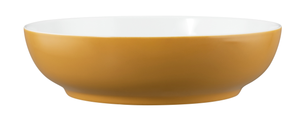 Seltmann Porzellan Life Molecule Amber Gold Foodbowl 25 cm