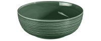 Seltmann Porzellan Terra Moosgrün Foodbowl 20 cm