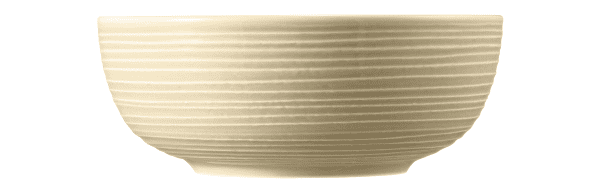 Seltmann Porzellan Terra Sandbeige Foodbowl 20 cm