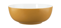 Seltmann Porzellan Life Molecule Amber Gold Foodbowl 20 cm