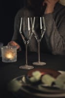 Eisch Glas Ravi Platin 2 Champagnergläser 518/7 im Geschenkk. Festivity