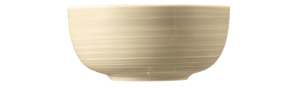 Seltmann Porzellan Terra Sandbeige Müslischale 15 cm