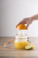 Kilner Orangenpresse aus Glas mit Bügelverschluss 0,5 Liter