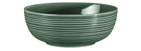 Seltmann Porzellan Terra Moosgrün Foodbowl 20 cm